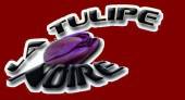 logo La Tulipe Noire